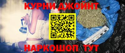 гидра Гатчина