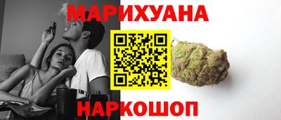 гидра Гатчина