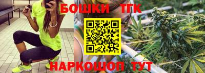 гидра Гатчина