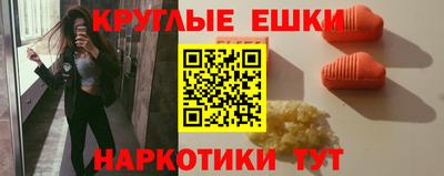 гидра Гатчина