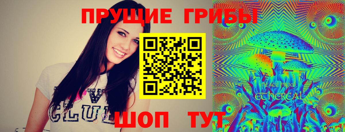 Истра  закладка  Вход с VPN  Псилоцибиновые грибы Cubensis 