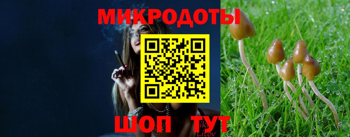 Псилоцибиновые грибы GOLDEN TEACHER Истра